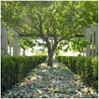 Mulberry Garden